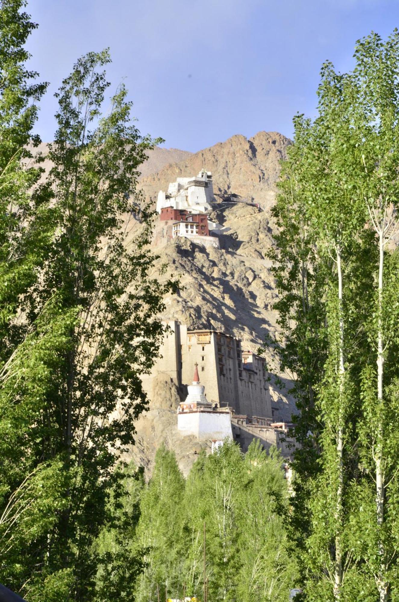 Hotel Lhalingkha Leh Exterior photo